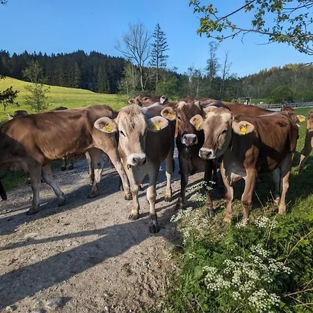 Sonnen-juwel Hallenbad Mit Sauna Apartment Missen-Wilhams